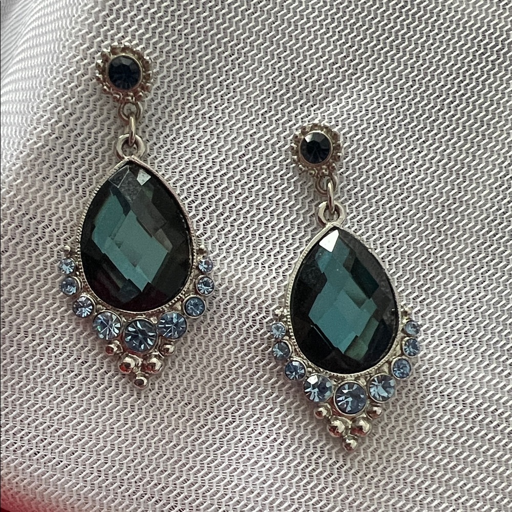 Source Unknown Silver and Blue Gemstone Earrings
